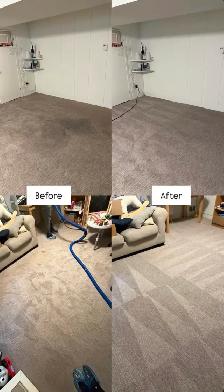 Professional Carpet & Upholstery Cleaning | Toronto & GTA - Photo 4
