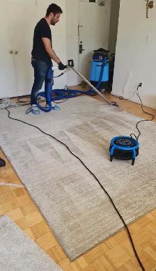 Professional Carpet & Upholstery Cleaning | Toronto & GTA - Photo 5