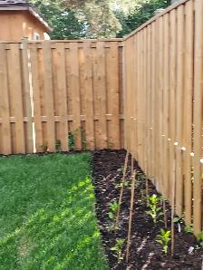 New Decks, Fence, and Gazebos & Sheds. - Photo 4