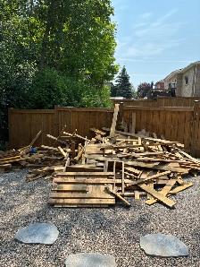 Junk and Garbage Removal - Photo 3