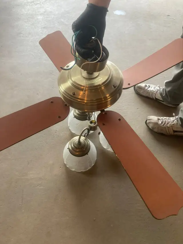 Fan With Lights