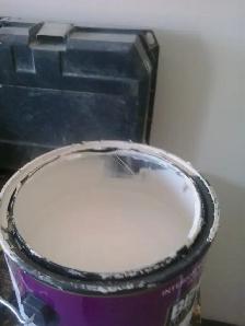 2/3 gal paint $20.00 or OBO - Photo 2