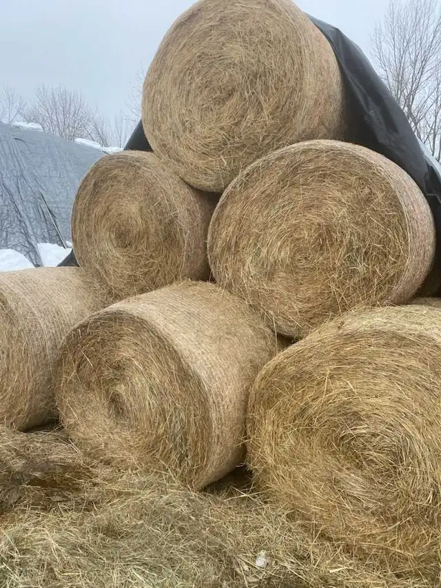 4x5 Round Bales