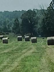 4x5 Round Bales - Photo 2