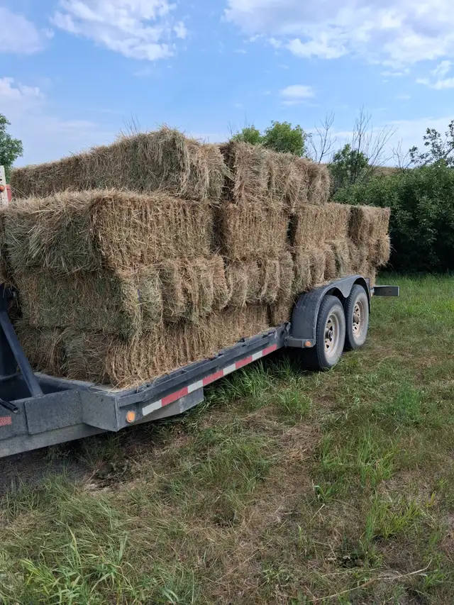 The last of this year's cut