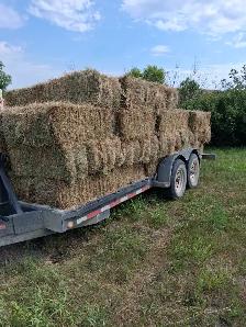 The last of this year's cut