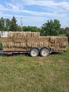 The last of this year's cut - Photo 2