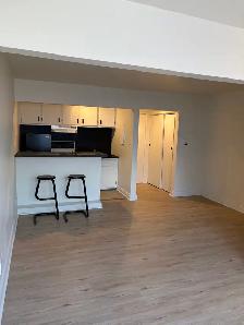 Beau grand 1 1/2 WIFI rue Richelieu Libre PROMO ! - Photo 2