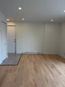 Magnifique 3 1/2, 48e rue, 2e étage Libre PROMOTION! - Photo 8