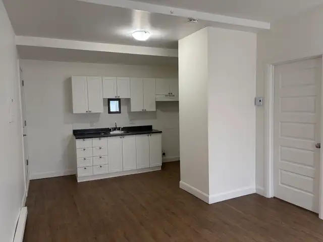 Très beau 3 1/2, St-Sauveur rue Boisseau, LIBRE