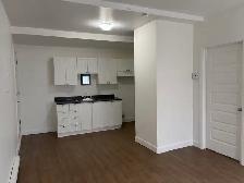 Très beau 3 1/2, St-Sauveur rue Boisseau, LIBRE