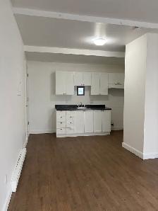 Très beau 3 1/2, St-Sauveur rue Boisseau, LIBRE - Photo 3