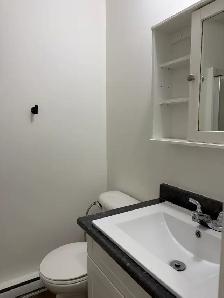 Très beau 3 1/2, St-Sauveur rue Boisseau, LIBRE - Photo 5