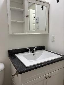 Très beau 3 1/2, St-Sauveur rue Boisseau, LIBRE - Photo 8