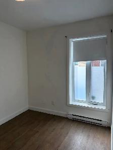 Très beau 3 1/2, St-Sauveur rue Boisseau, LIBRE - Photo 9