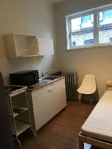 Superbes studio, Rénové, centre-ville tout inclus Libre - Photo 3