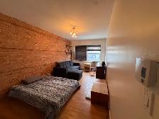 Superbe très grand 4 1/2, St-Sauveur, Libre Terrasse - Photo 9