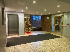 BASEMENT FOR RENT - FEMALE STUDENT / WORKING STUDENT