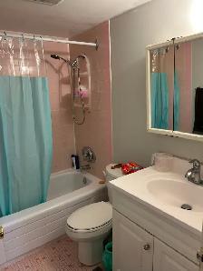BASEMENT FOR RENT - FEMALE STUDENT / WORKING STUDENT - Photo 5
