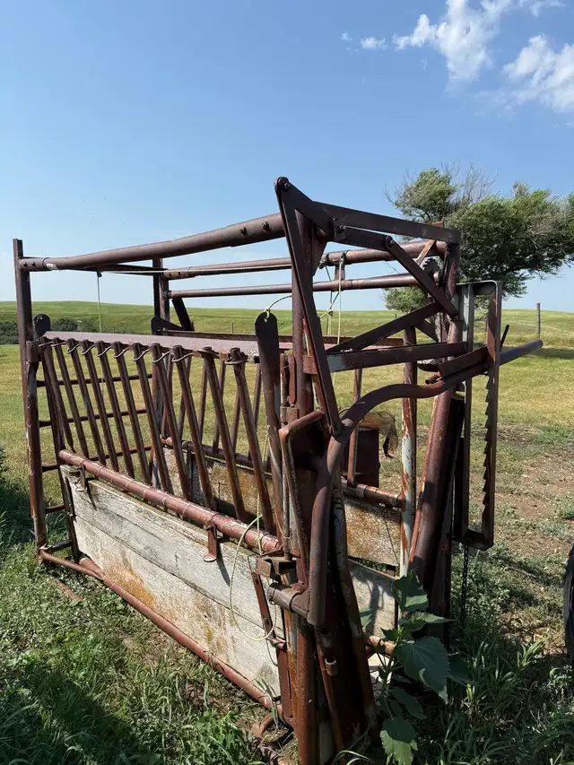 Cattle squeeze chute