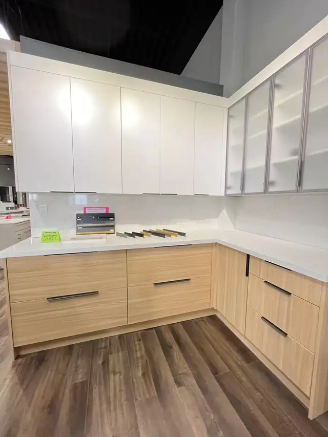 Introducing the Econoline Kitchen Cabinet – Affordable Cabinet