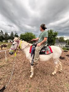 Mule (appy x donkey) - Photo 2