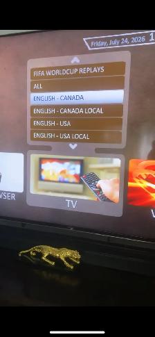 Endless TV entertainment $7 month - Photo 4