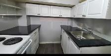 Shared basement room available for rent in Scarborough - Photo 3