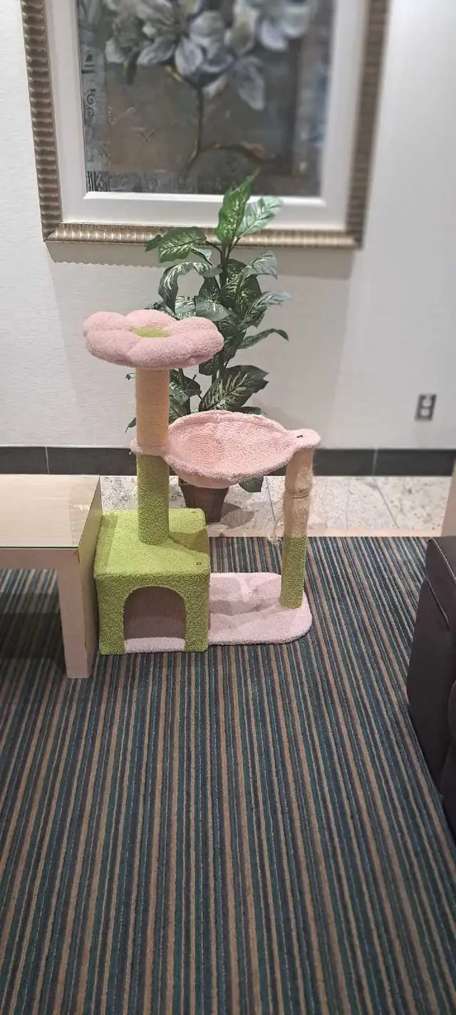 arbre à chat