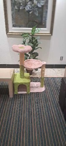 arbre à chat
