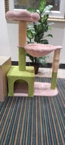 arbre à chat - Photo 3