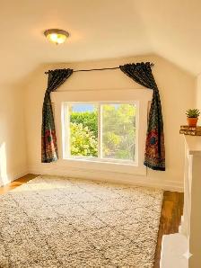 (Downtown) Lovely 1-Bedroom Apartment, Spacious & with Balcony!