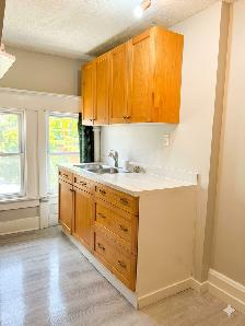 (Downtown) Lovely 1-Bedroom Apartment, Spacious & with Balcony! - Photo 3