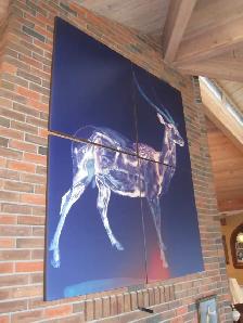 AUCTION-SPORT MEMORABILIA/MORE-PENTICTON-ONLINE-SAT, AUG 8 - 8AM - Photo 8
