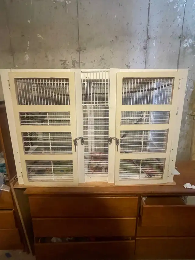 Big Bird Cage