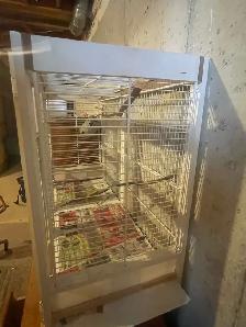 Big Bird Cage - Photo 2