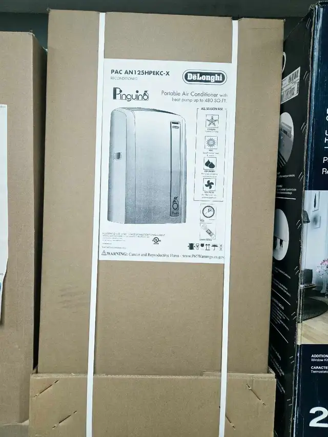 Climatiseur portable DeLonghi Pinguino PAC AN125HPEKC-X