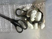 Vietnamese Blue Beauty snakes - Photo 2