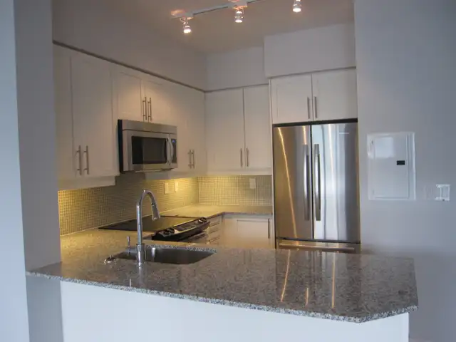 Condo for Rent in Liberty Village