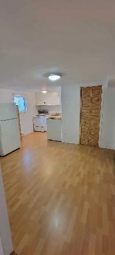 Amazing Opportunity: Complete Basement for Rent in LONGUEUIL! - Photo 3