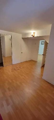 Amazing Opportunity: Complete Basement for Rent in LONGUEUIL! - Photo 9