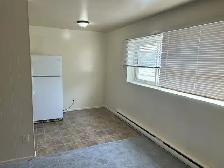 1 Bedroom - EK/Elmwood - 320 Poplar Ave - Photo 4