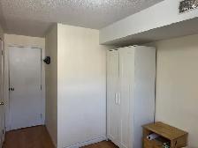 rooms for rent at York University village - Photo 2