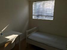 rooms for rent at York University village - Photo 5