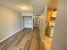 Beautiful 2 Bedroom Legal Lower Suite - Albert Park, Calgary, AB - Photo 3