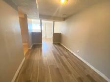 Beautiful 2 Bedroom Legal Lower Suite - Albert Park, Calgary, AB - Photo 4