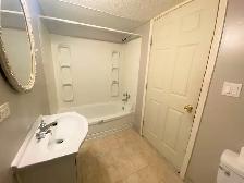 Beautiful 2 Bedroom Legal Lower Suite - Albert Park, Calgary, AB - Photo 14
