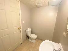 Beautiful 2 Bedroom Legal Lower Suite - Albert Park, Calgary, AB - Photo 15