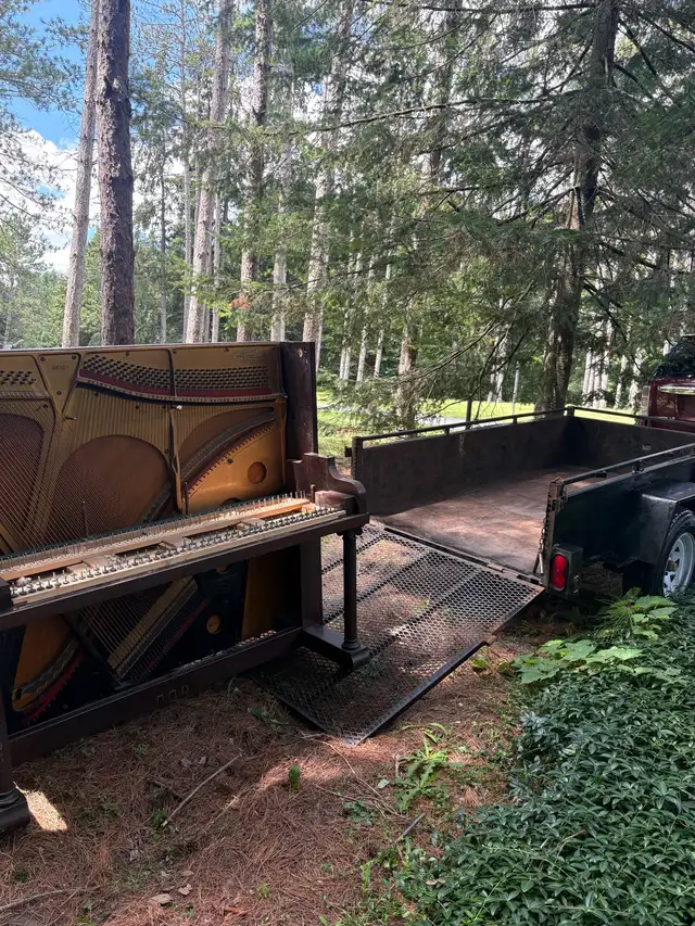 junk removal today