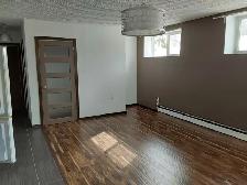 Bright Semi-Basement-Large Windows-Spotless-Renovated-East End